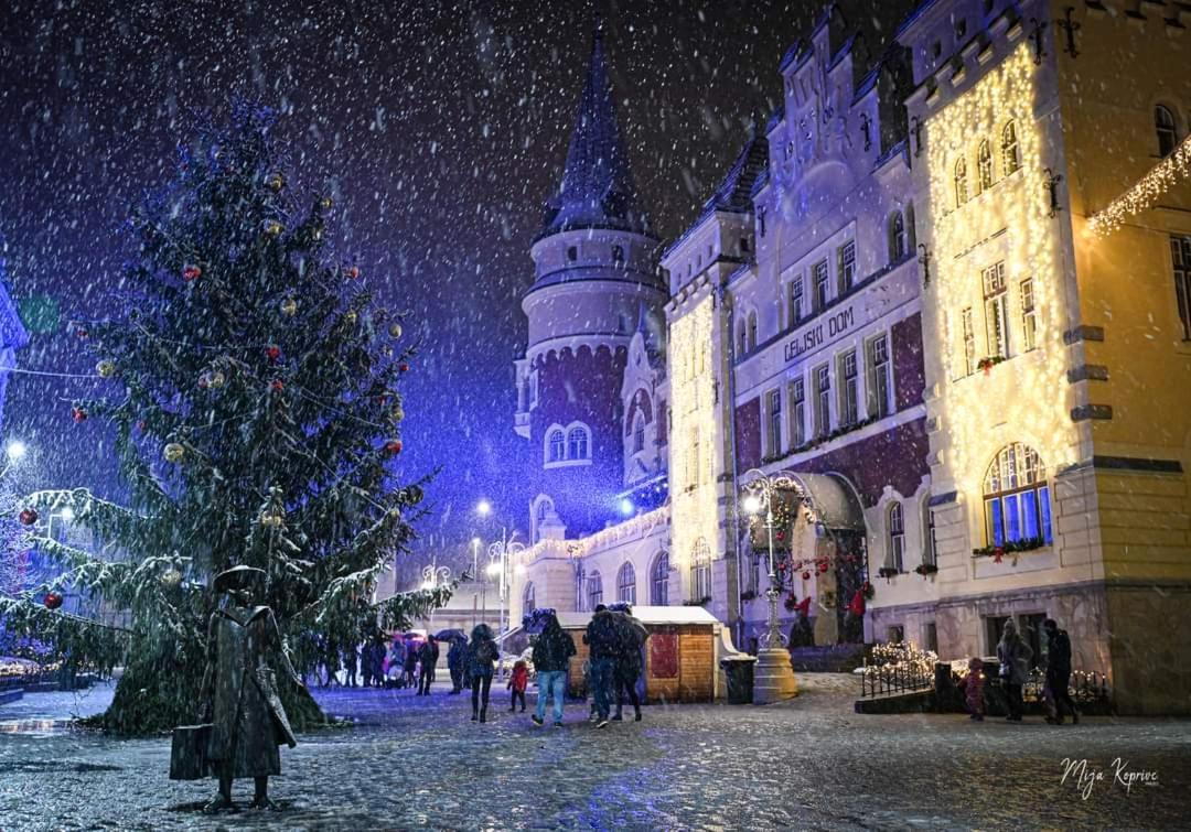 Apartment Keleia Целе Экстерьер фото